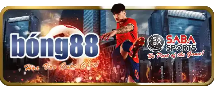 Hoàn trả cược thể thao fan88